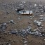 Прокуратура завела уголовное дело по факту загрязнения пляжей Судака нефтепродуктами в ноябре 2016 г
