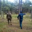 Лесники и МЧС Судака проводят совместные рейды в лесах