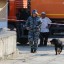 Специально обученная собака не нашла взрывчатку в подозрительной сумке в Судаке