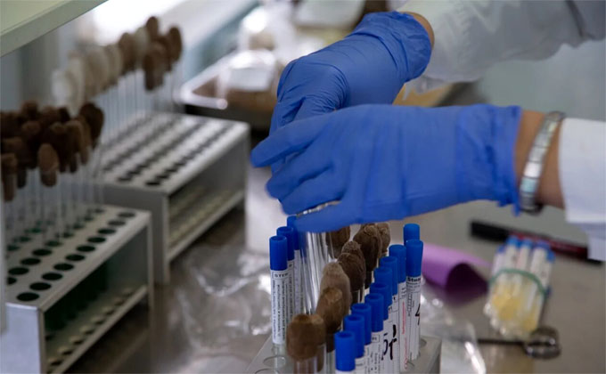 Российские ученые к лету планируют выпустить вакцину против коронавируса