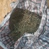 У судакчанина нашли 13 килограммов марихуаны