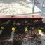 Неизвестные вандалы разбили все цветочные вазоны на улице Гвардейской в Судаке
